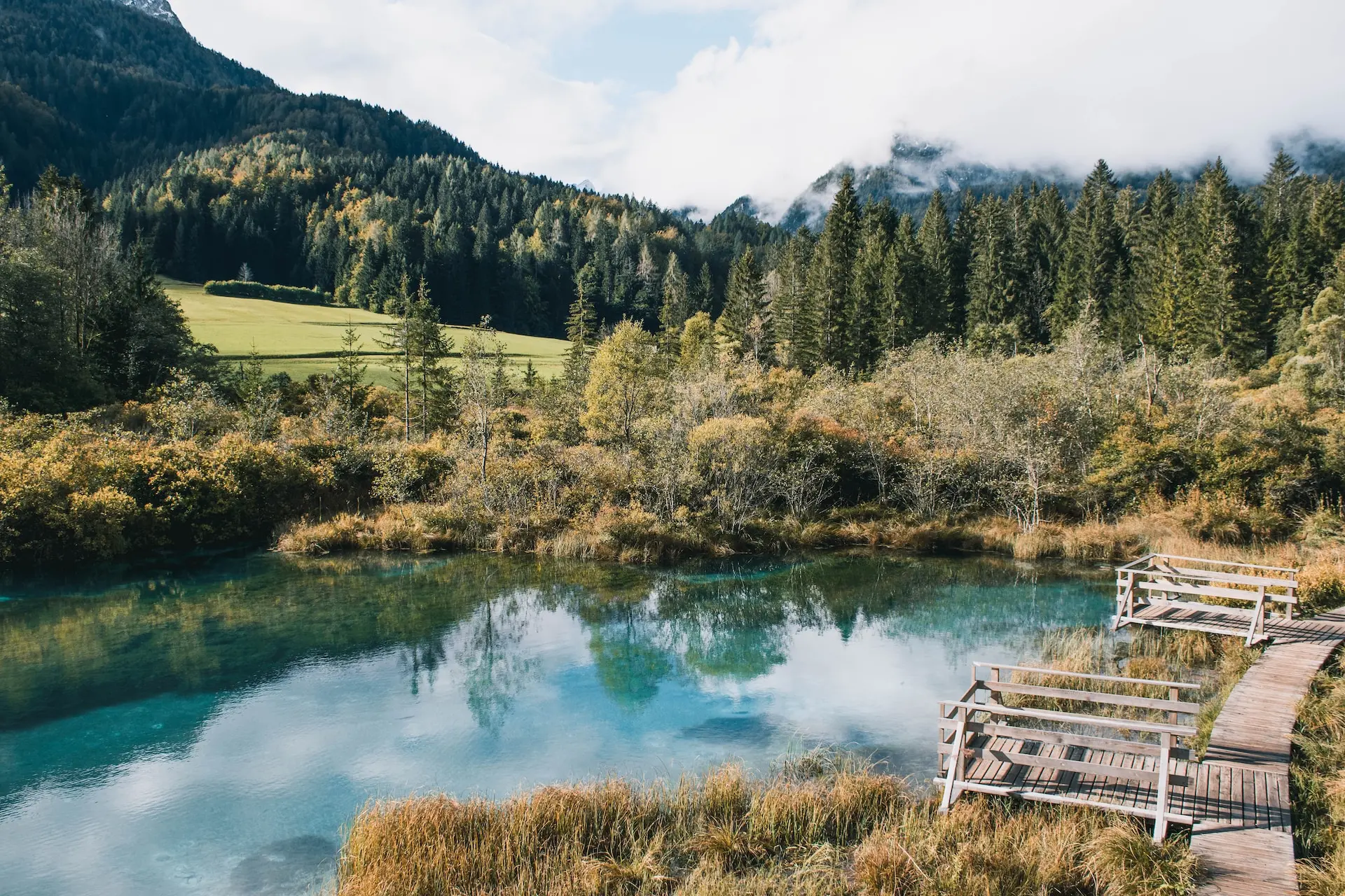 Une source d'eau dans une forêt entourée de montagnes.