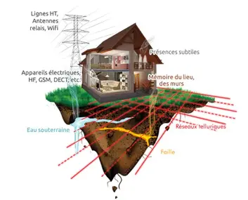 Schéma d'une maison entouré des réseaux Hartmann et Curry.