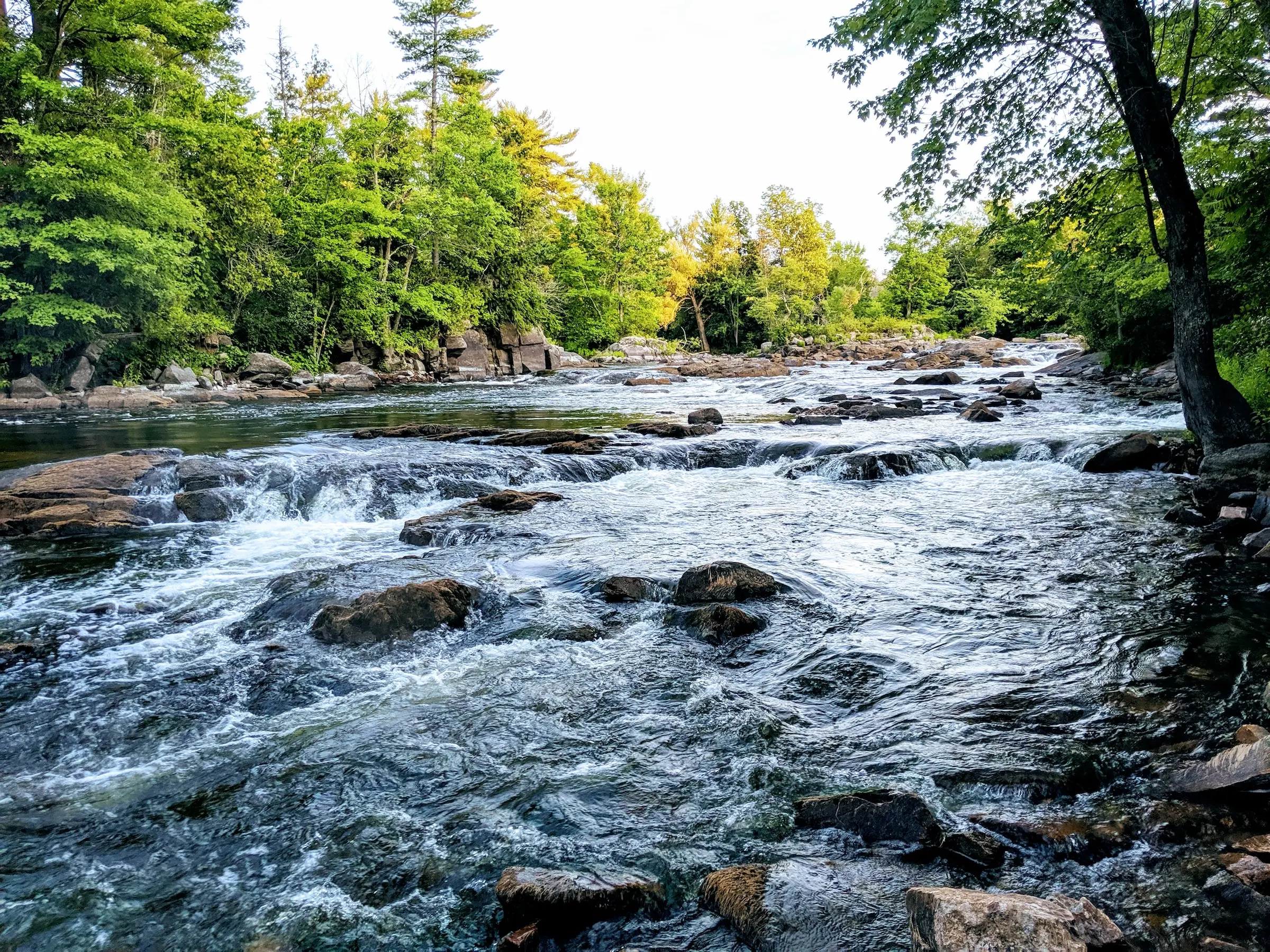 Une rivière.